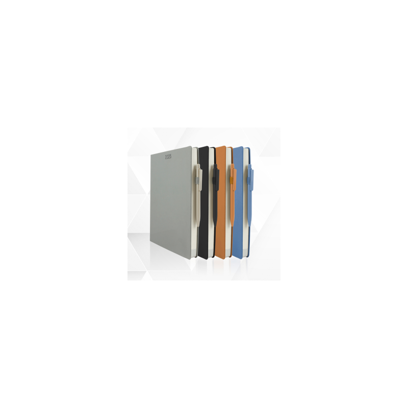 AGENDA DIARIA 2025 - CON BOLIGRAFO - (19.1 X 26 CM)